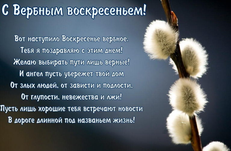 Открытка с изображением вербы на Вербное воскресенье (вербное, воскресенье, открытка, картинка)