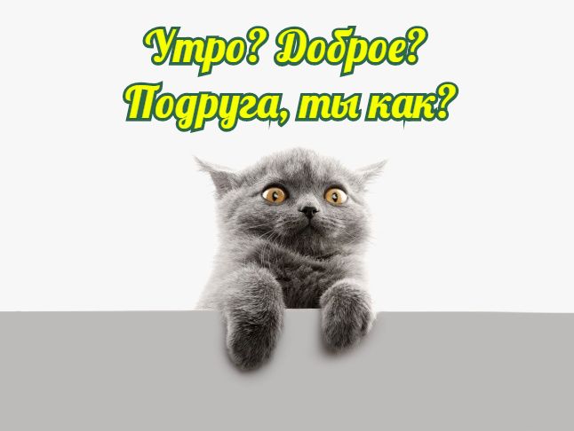 Открытка с надписью «Подруга, желаю доброго утра». Нежные цветы на светло-розовом фоне. (подруга, утро)