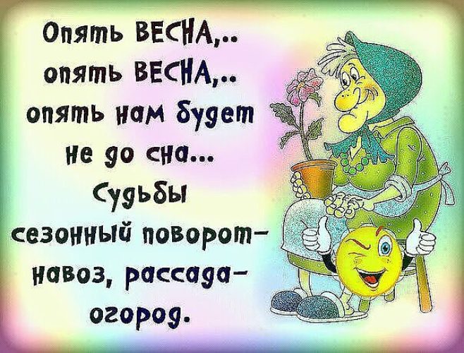 Открытка с яркой весенней картинкой и юмористическим текстом (прикольные, весна, картинки)