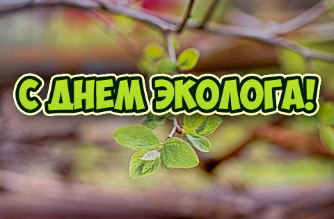 Яркая открытка к празднику День эколога